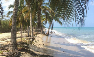 How to get to Rincon del mar from Cartagena