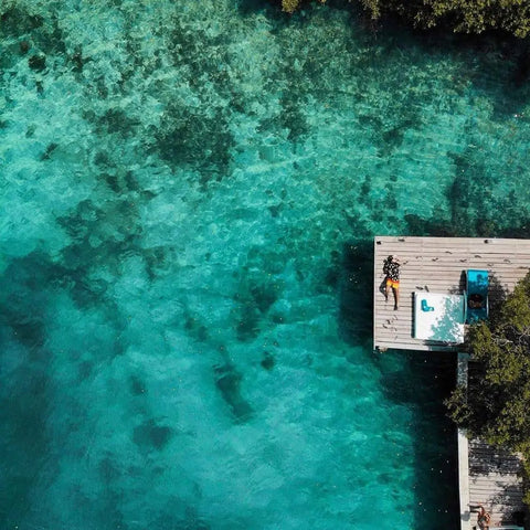 Rosario Islands day trip - Isla Coralina - Juan Ballena