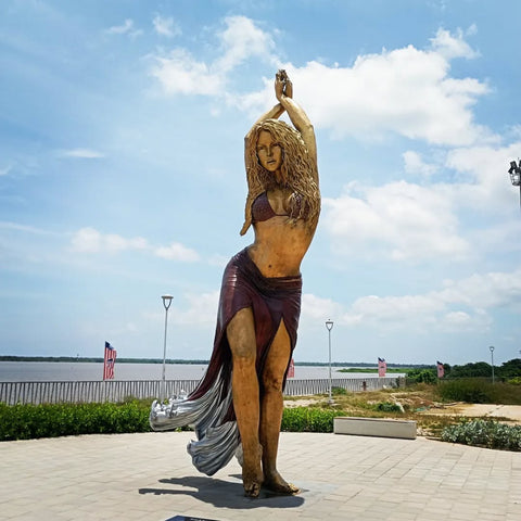 Transfer from Cartagena to Barranquilla - SHAKIRA