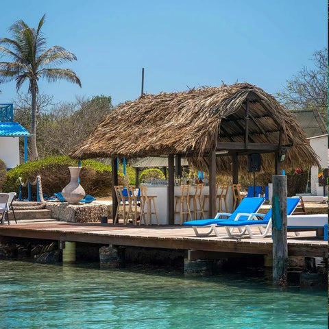 Rosario Islands day trip - Isla Coralina - Juan Ballena
