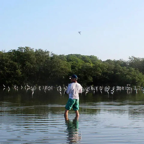 Bird watching in La Boquilla - Juan Ballena | Travel Experiences in Cartagena