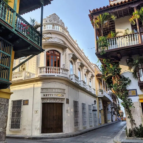 Explore the Walled City and Colonial Monasteries - Juan Ballena
