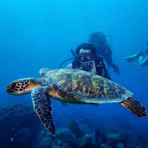 Scuba Diving In Baru - Cartagena - Juan Ballena | Travel Experiences in Cartagena