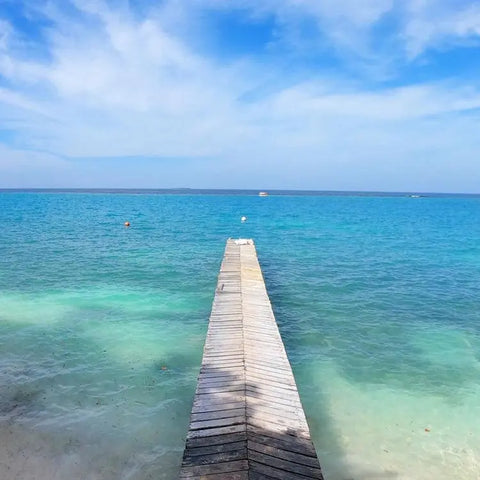 Isla Grande Shuttle Boat - Juan Ballena | Travel Experiences in Cartagena