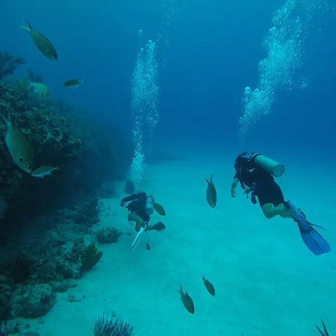 Scuba Diving in San Andres - Juan Ballena | Travel Experiences in Cartagena