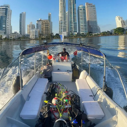 Scuba Diving In Baru - Cartagena | Juan Ballena
