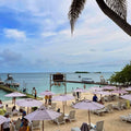 OPEN BAR - BEACH Luxury beach