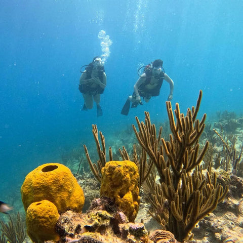 Mergulhadores com cilindro explorando a vida marinha e recifes de corais na Ilha de San Andrés