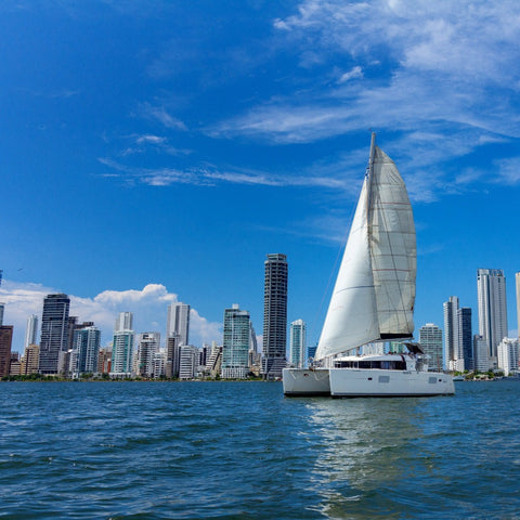 Private Catamaran Sail to Rosario Islands - Juan Ballena